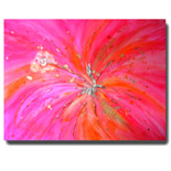 Coral Hibiscus