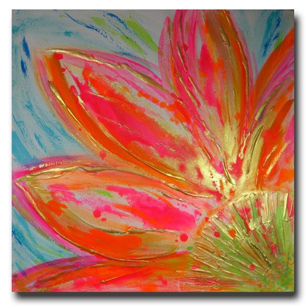 African Daisy