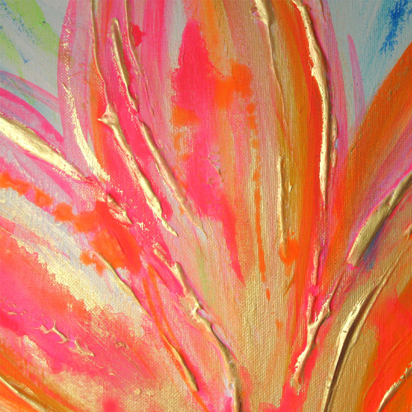 African Daisy