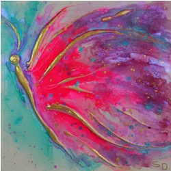 Butterfly 3