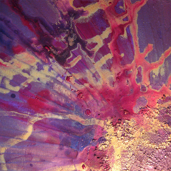 Purple Sea Anemone
