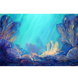 Coral Reef