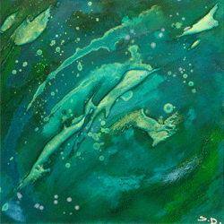 Dolphins 1