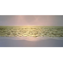 Morning Tide