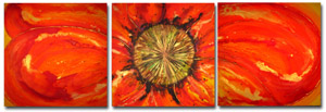 Poppy Passion