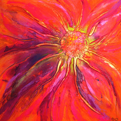 Summer Bloom