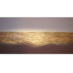 Summer Tide